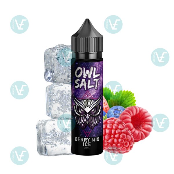 OWL Salt - Longfill 10ml in 60ml Flasche Berry Mix Ice