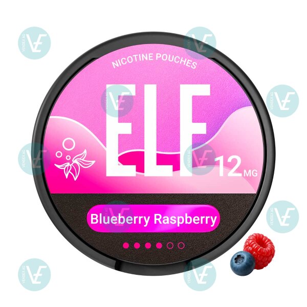 Elfbar - ELF Snus Blueberry Raspberry 12mg
