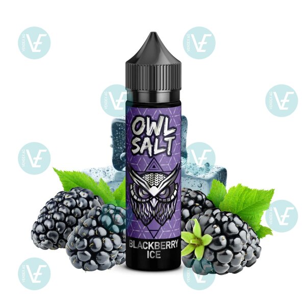 OWL Salt - Longfill 10ml in 60ml Flasche Blackberry Ice